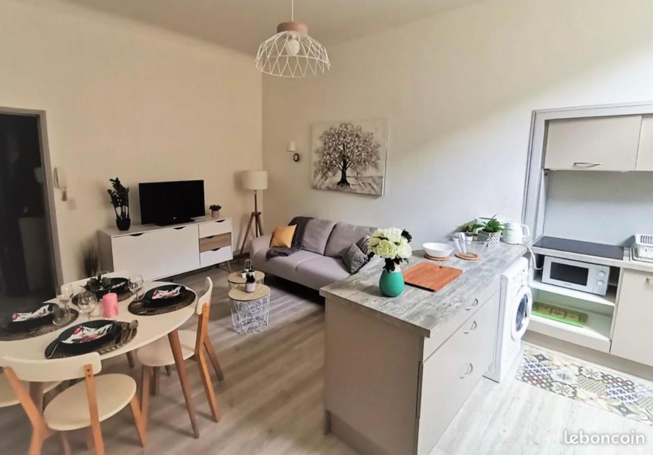 Appartement Catharina Вільнев-сюр-Лот Екстер'єр фото