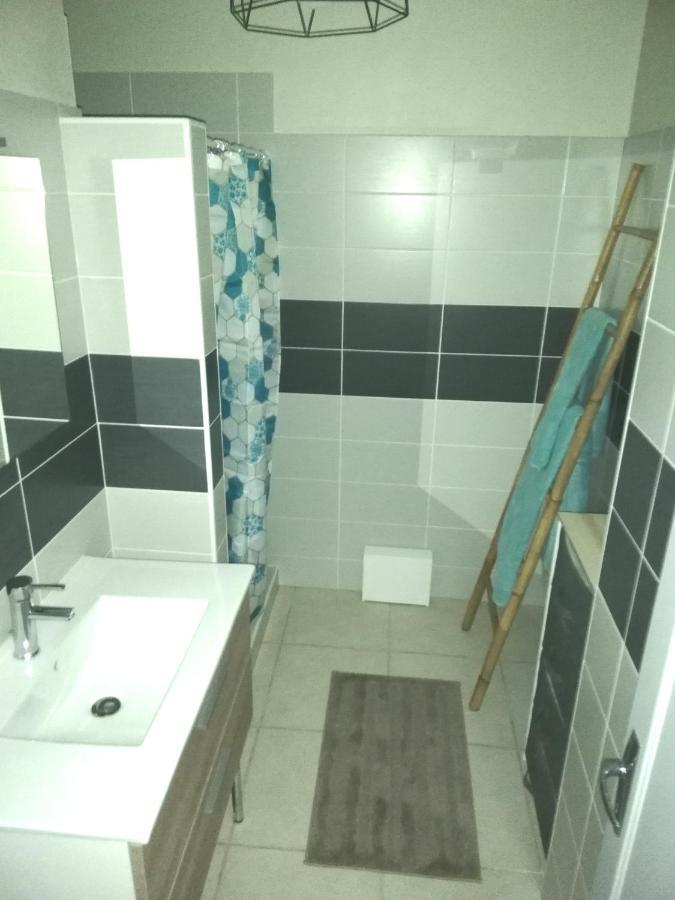 Appartement Catharina Вільнев-сюр-Лот Екстер'єр фото